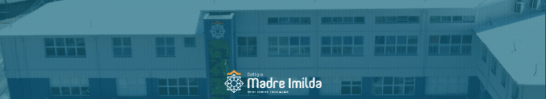 https://redeicm.org.br/madreimilda/
