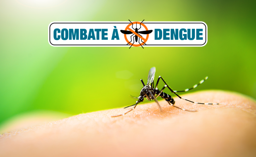 Sindiserv alerta para baixa cobertura no combate ao Aedes aegypti em Caxias do Sul