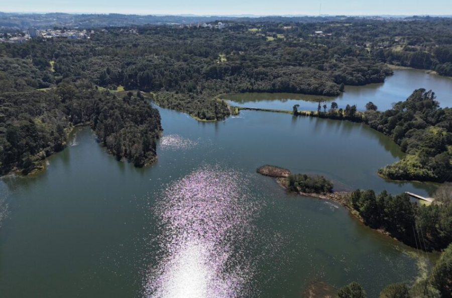 Sindiserv defende Samae público