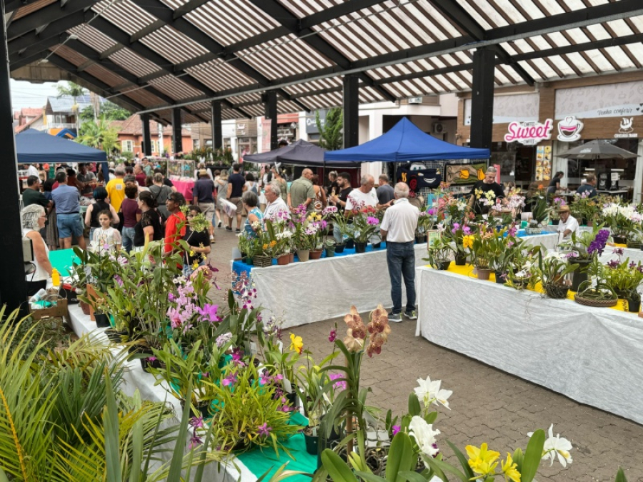 Nova Petrópolis sedia 26ª Exposição de Orquídeas nos dias 18 e 19 de abril