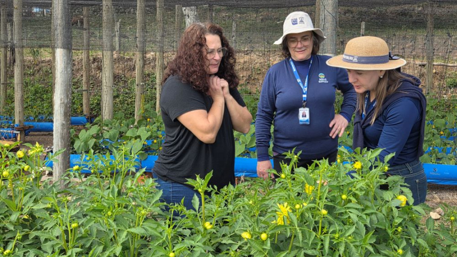 Flores viram fonte de renda para agricultora da Serra com apoio de projeto da UFSM