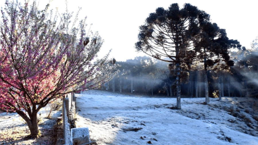 Nova Petrópolis convida para o inverno mais aconchegante da Serra Gaúcha